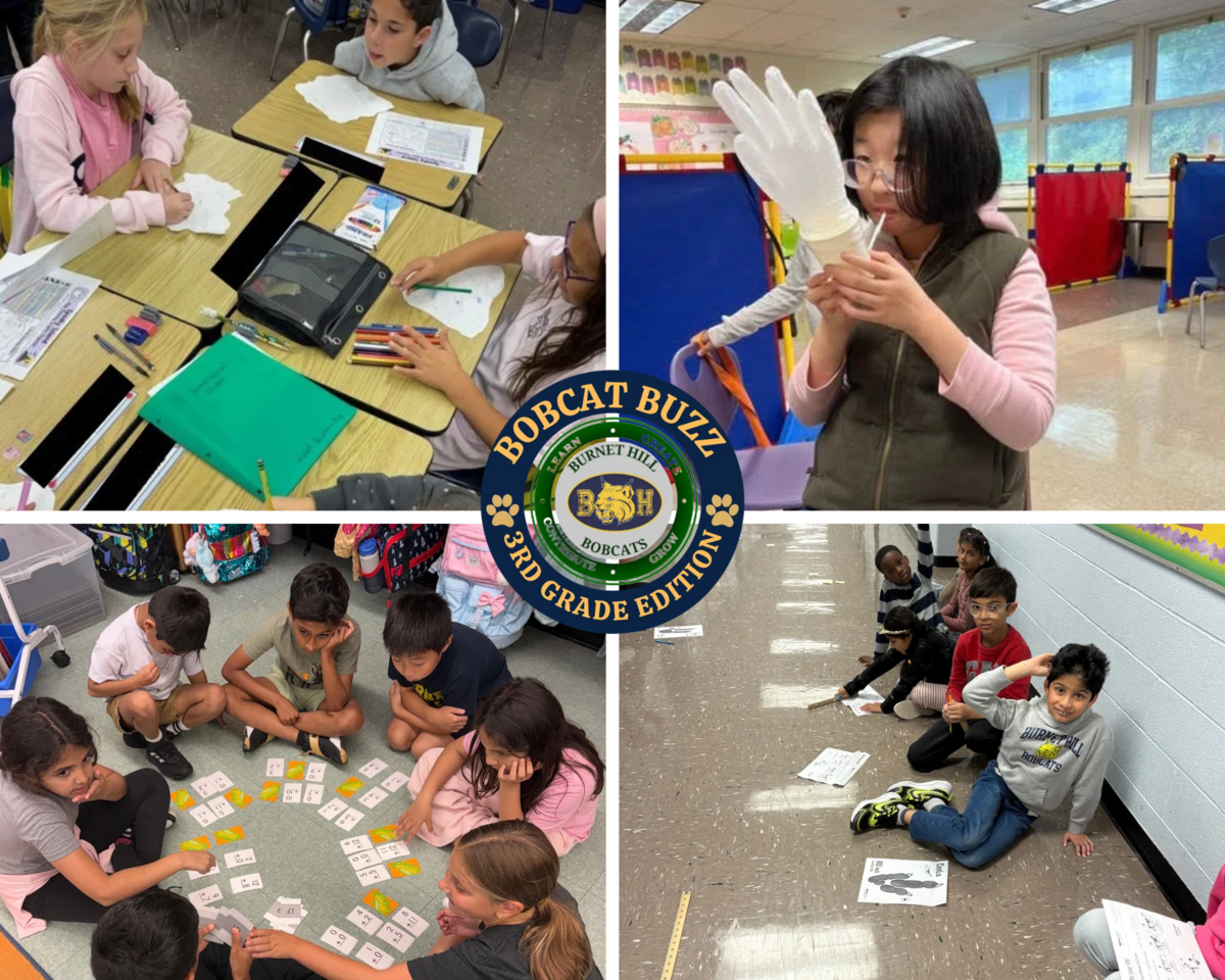 Bobcat Buzz: 3rd Grade Edition 