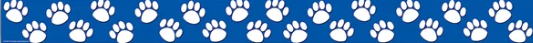 A horizontal blue banner features a repeating pattern of white paw prints.