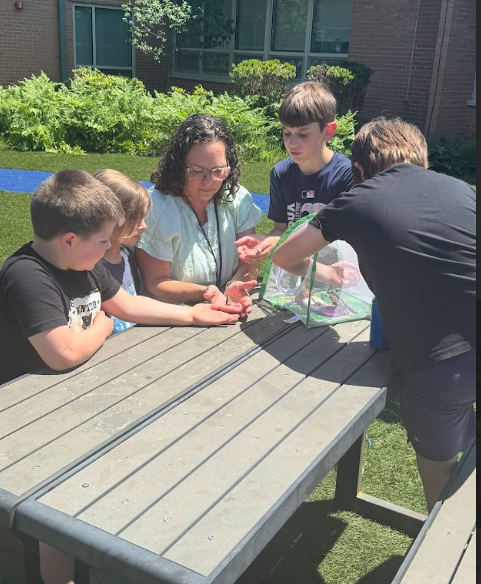 Students watch the evolution of a butterfly