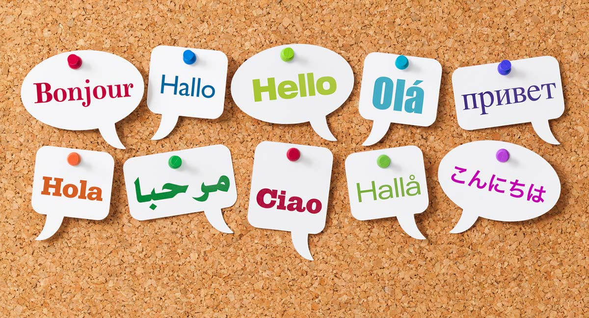 French, Mandarin & Spanish Tutor Hours Start in September!
