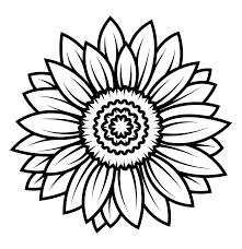 Anna's Sunflower Warriors annual message