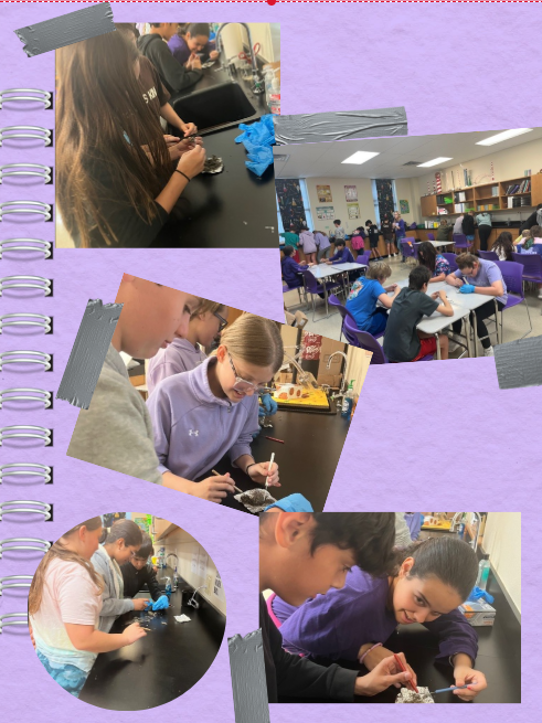 Students engaged in a science experiment at lab tables, working with small objects.