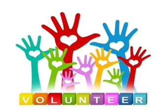 Volunteer Application 