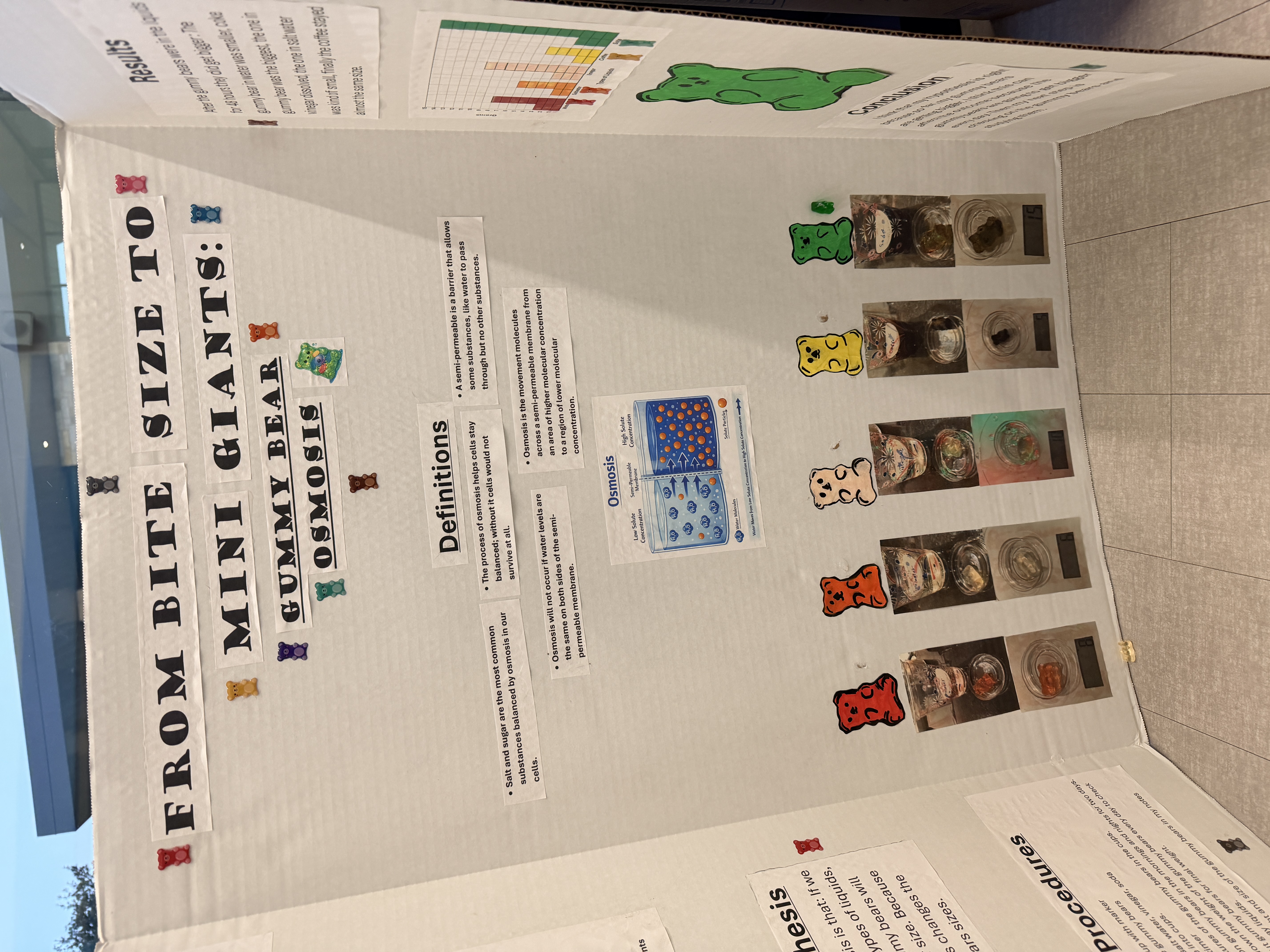 science fair presentation board