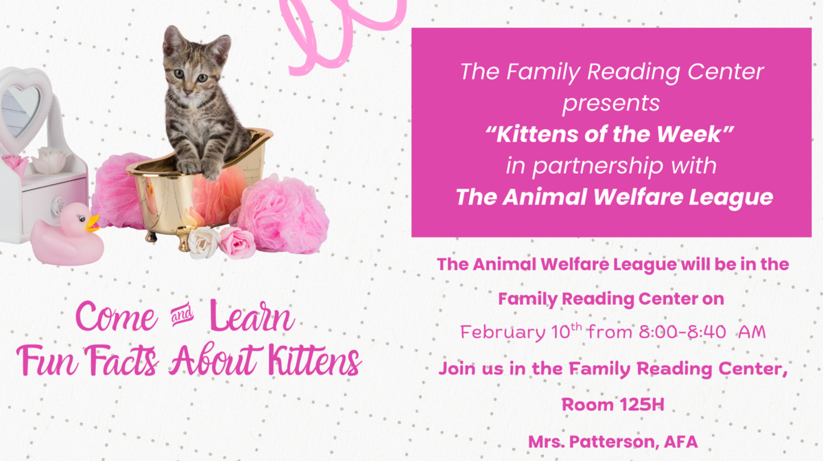 A kitten sits in a miniature golden bathtub surrounded by pink poufs and a rubber duck, advertising "Kittens of the Week" event.