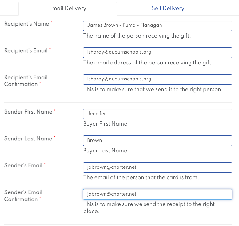 A form displays fields for email delivery, including recipient and sender contact information.