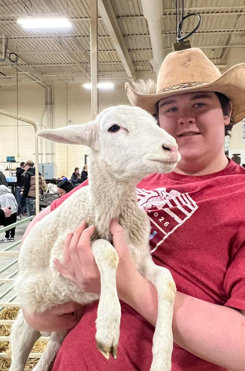 Student holding a sheep