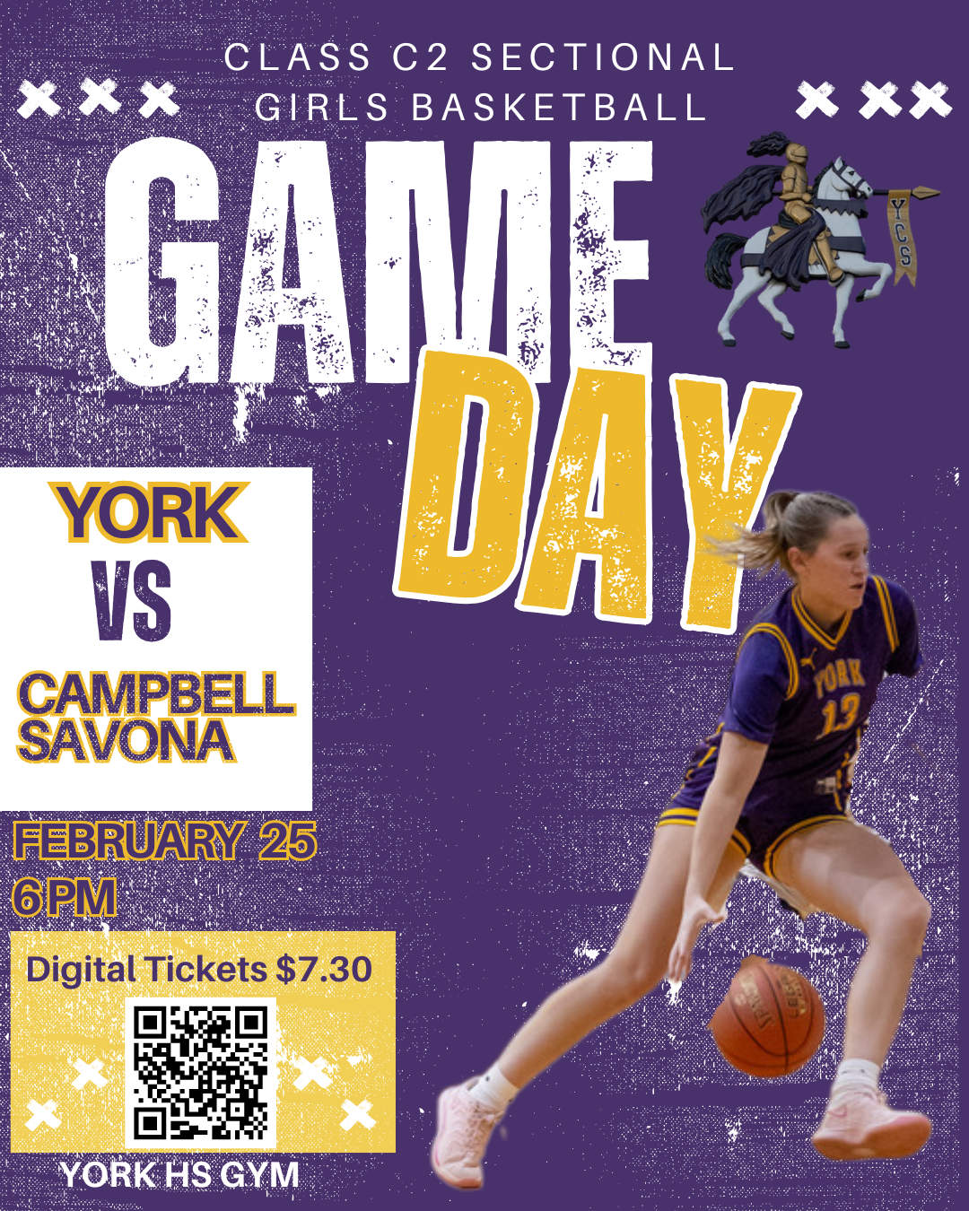 Girls Varsity Basketball Sectional Game Feb 25 2026