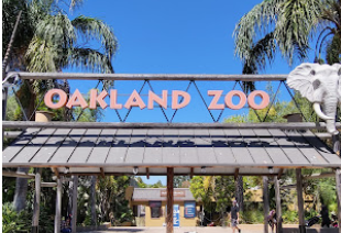 SHPS Kinder FT to Oakland Zoo 8:30-2:55