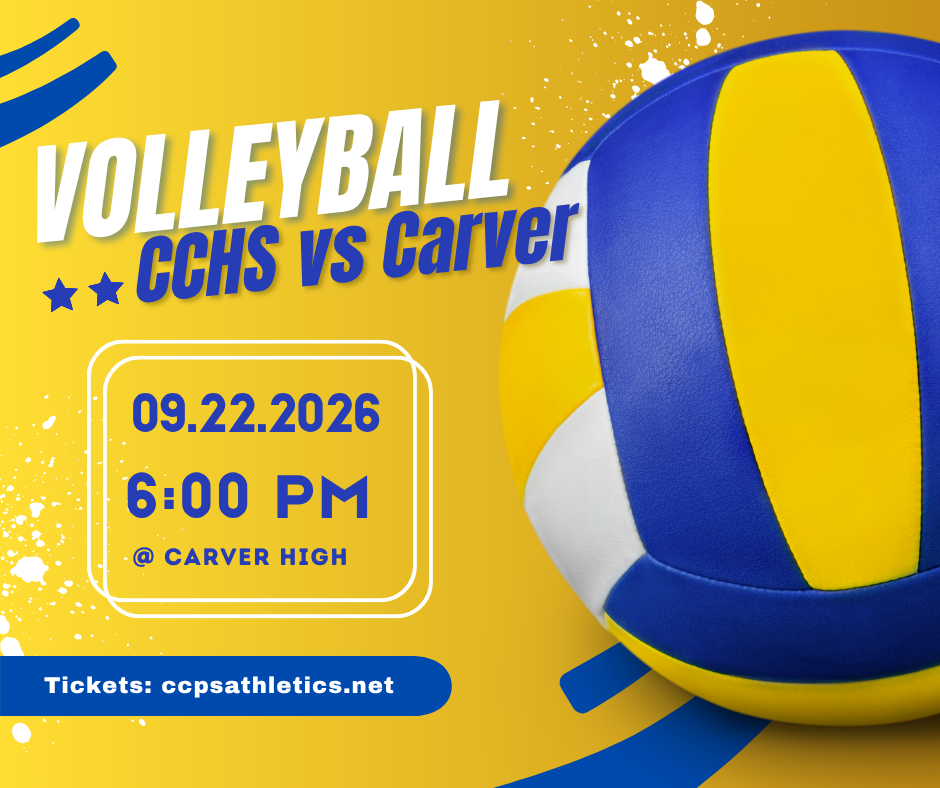 Volleyball Game