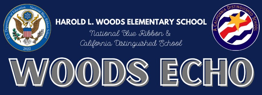 Woods Echo- Summer Edition!