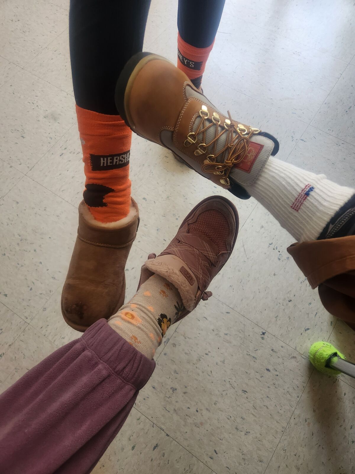 Fox In Socks — Wear your favorite socks, mismatched socks, or crazy socks!