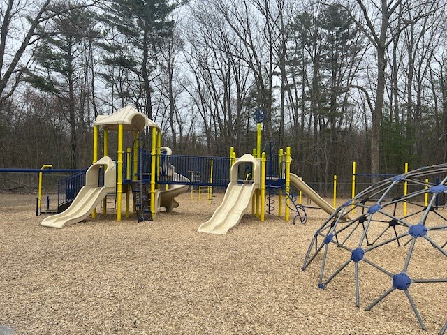 Welcome back from Spring Break- tomorrow, Monday, May 4th!