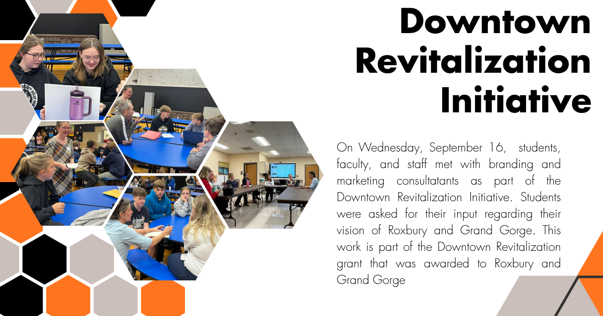Downtown Revitalization Initiative 