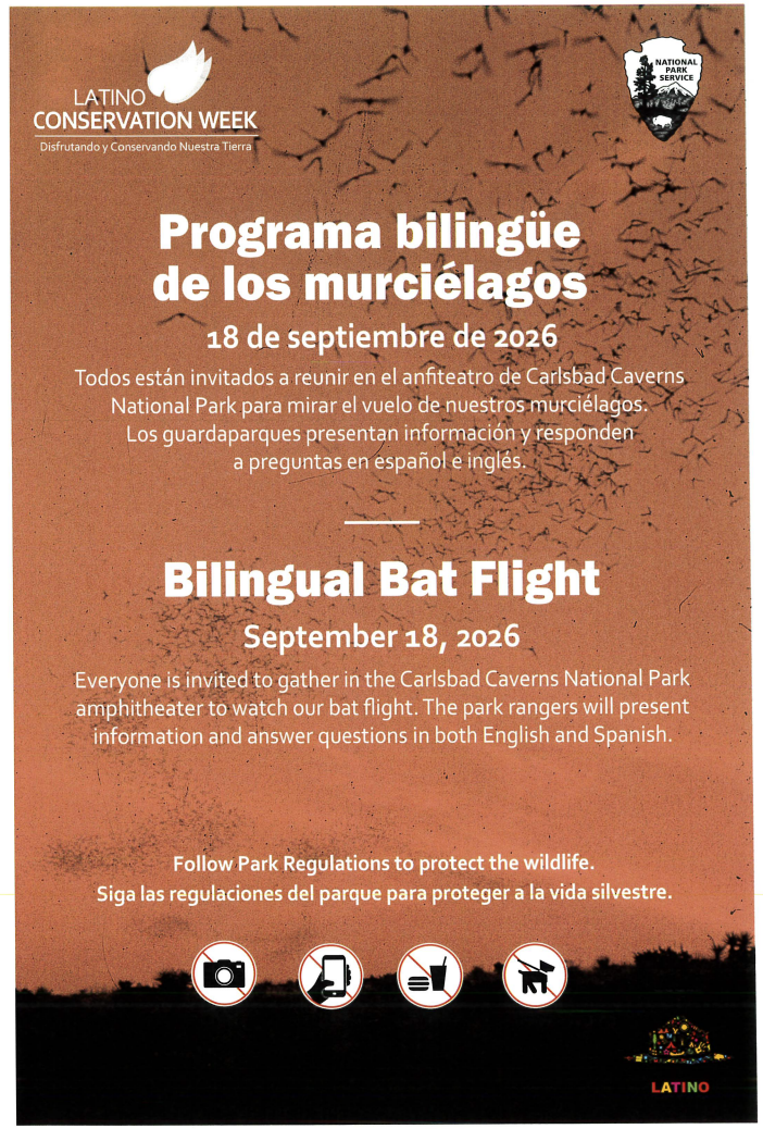 Bilingual Bat Flight | Programa bilingüe de los murciélagos