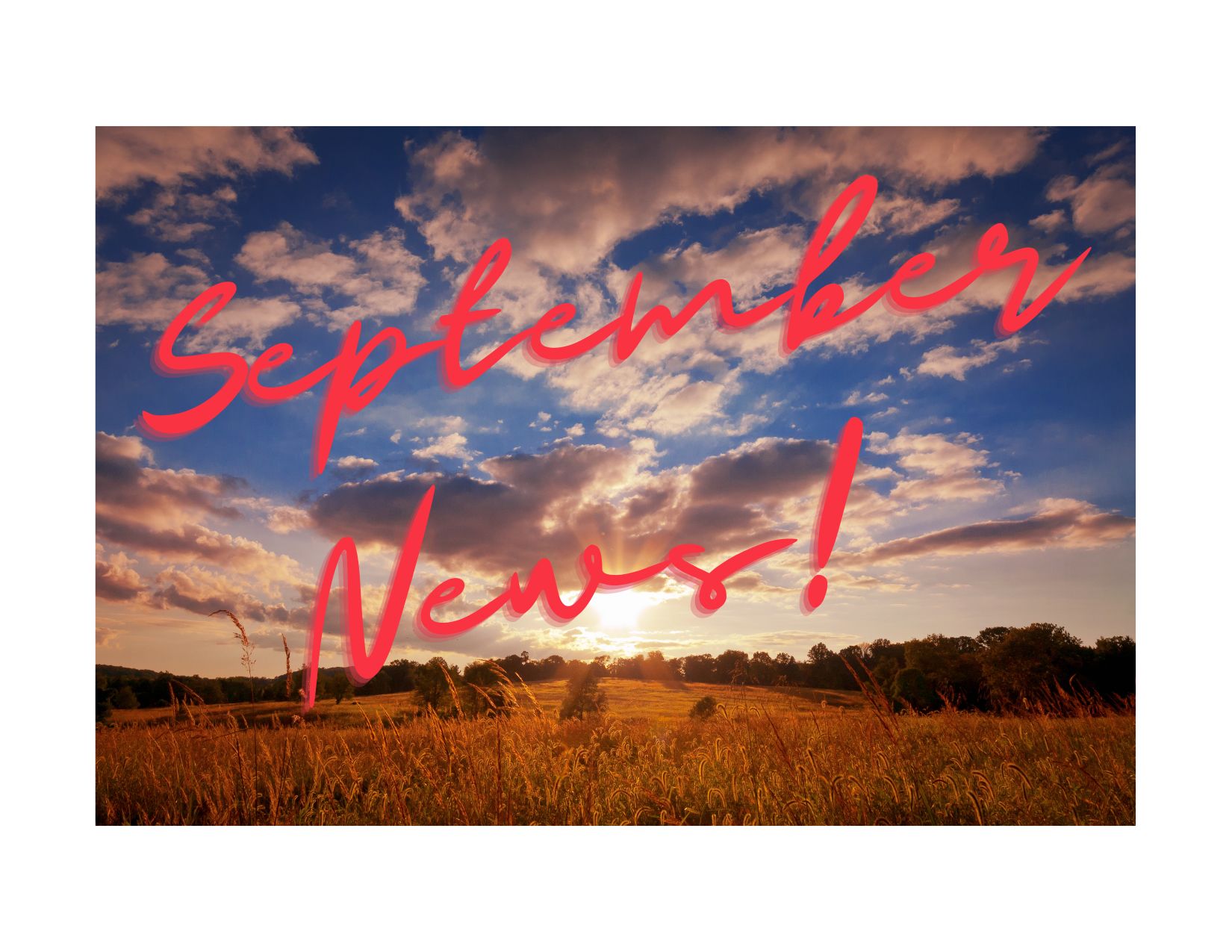 September News! 