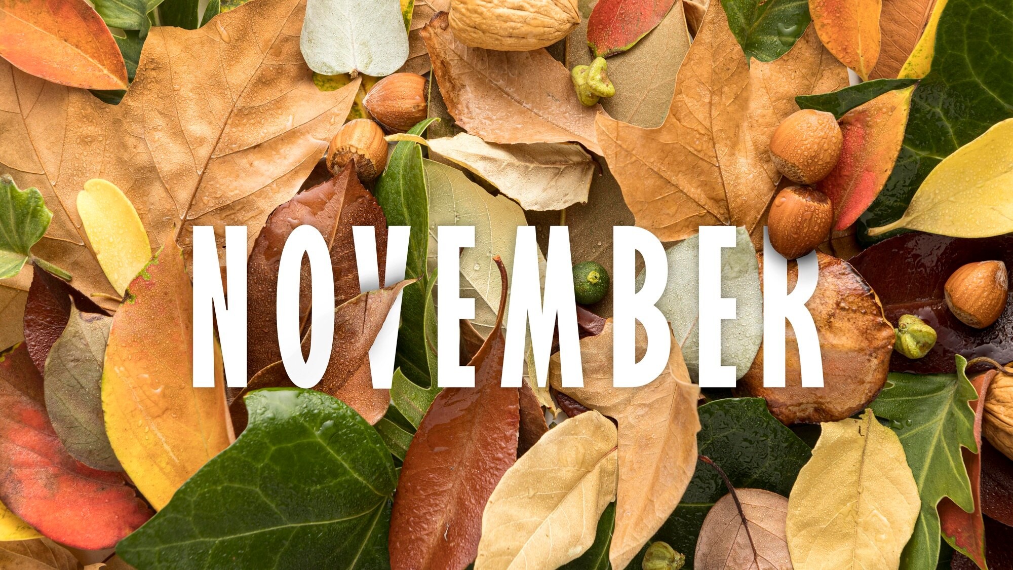 November Happenings!