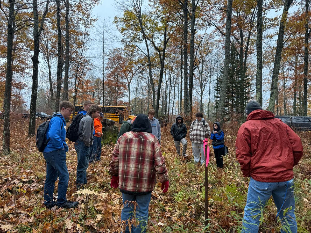 🌲 Learning beyond the classroom!