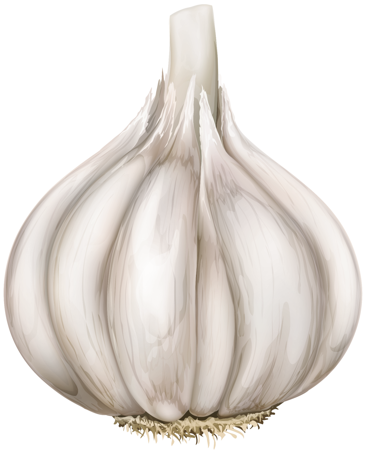 A detailed digital illustration of a whole white garlic bulb against a plain background.