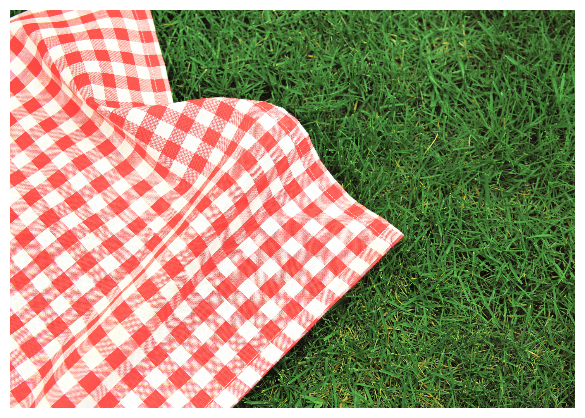 All Are Invited To Our School Picnic September 22nd at 5pm!