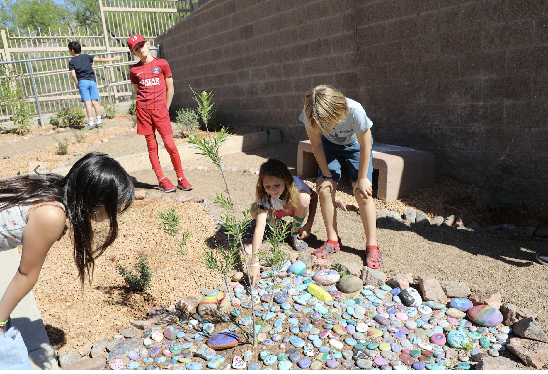 From Bare Ground to Butterfly Garden: How a Student Council Project Brought a Community Together