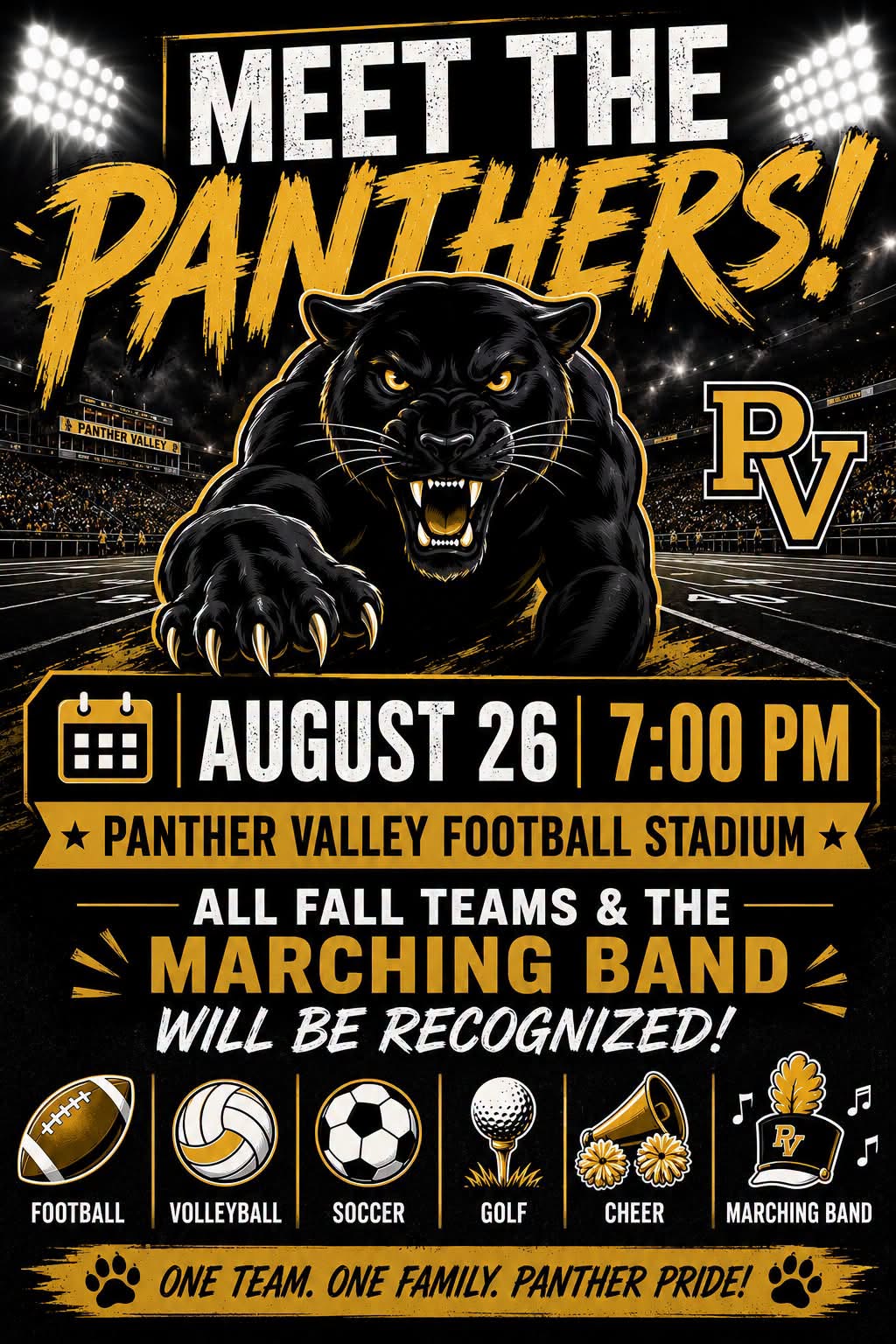 Meet the Panthers