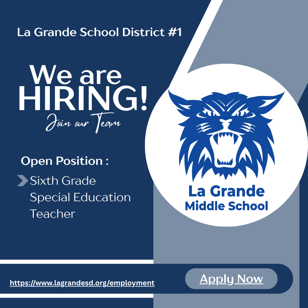 We are hiring!