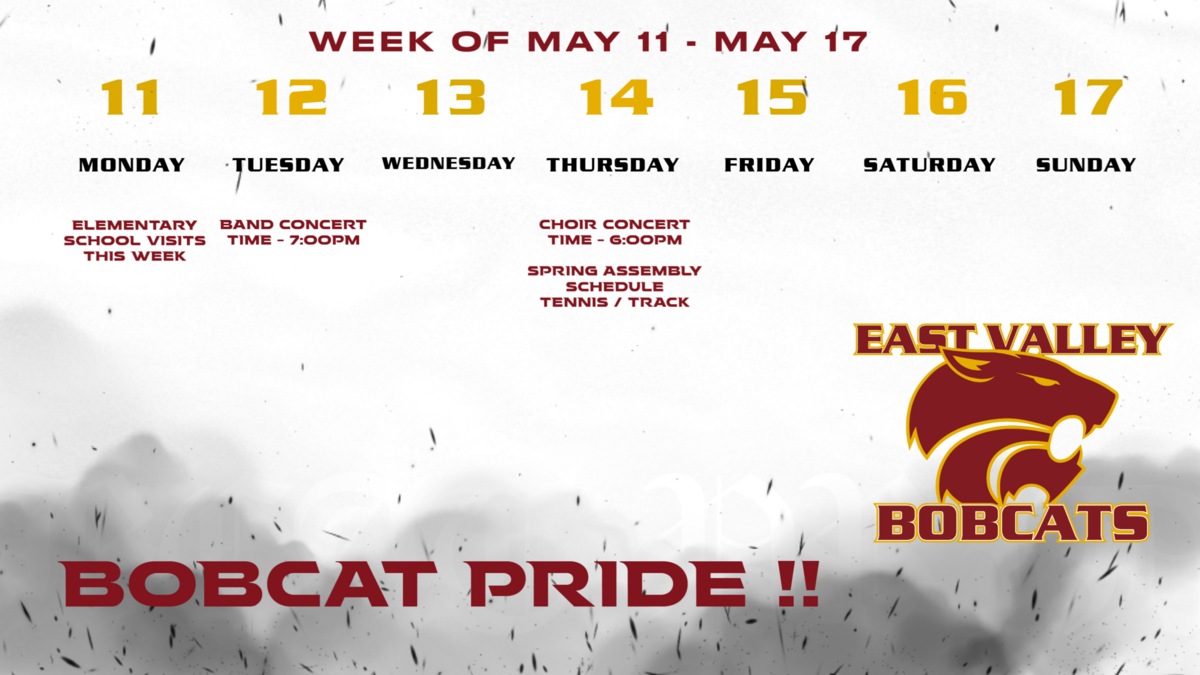 Bobcat Activities for May 11-17