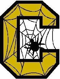 A black spider is silhouetted against a white spiderweb inside a yellow octagonal letter 'C'.