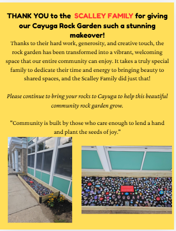 Our Rock Garden gets a MAKEOVER!
