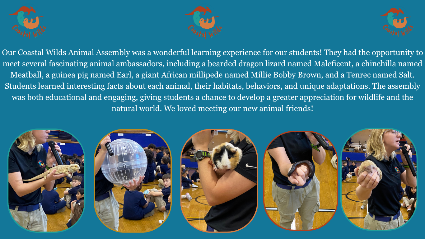Coastal Wilds Assembly