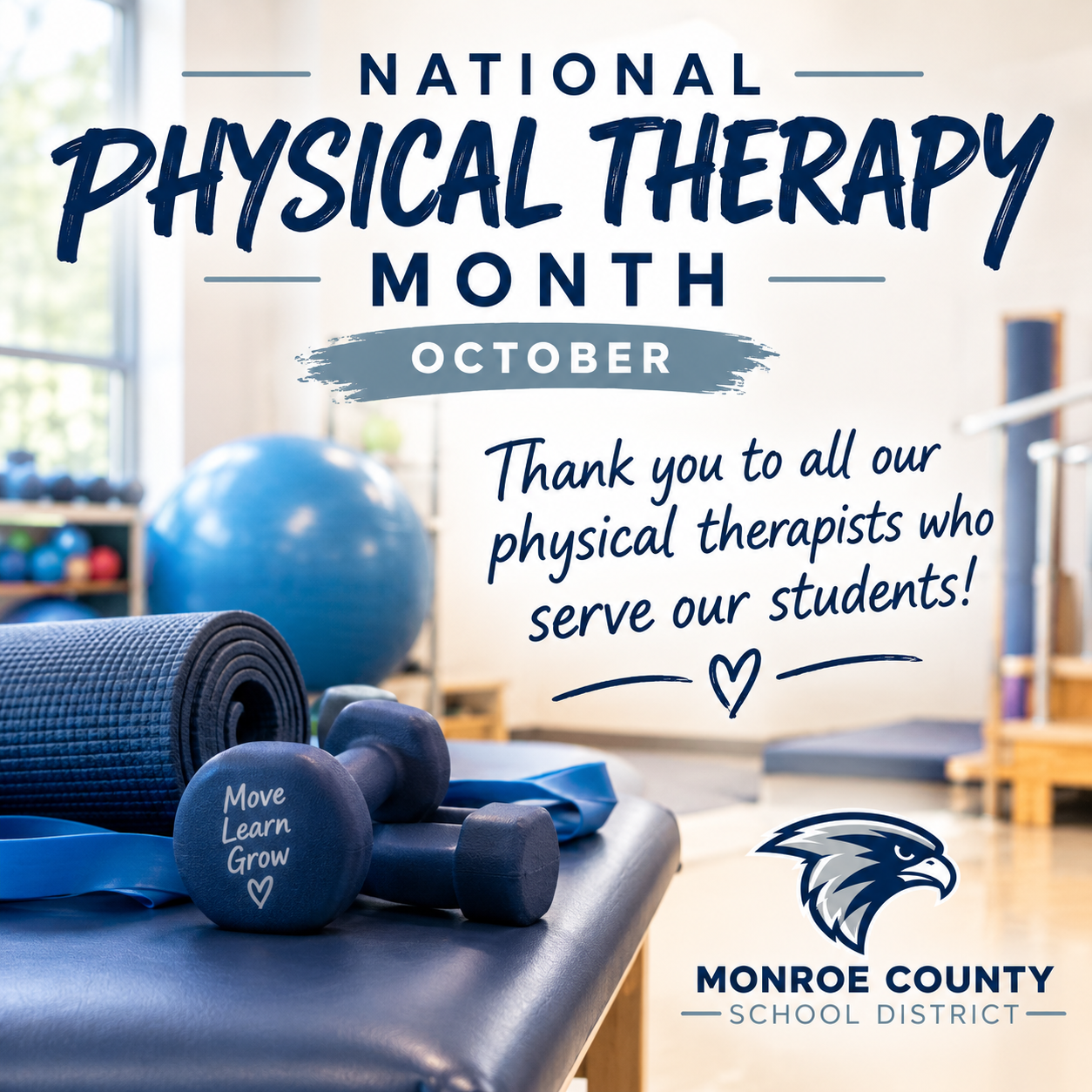 National Physical Therapy Month!