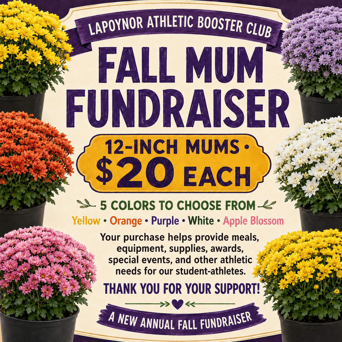 LP Athletic Booster Club Fall Mum Fundraiser