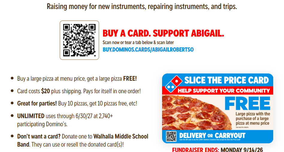 Band Domino's Fundraiser