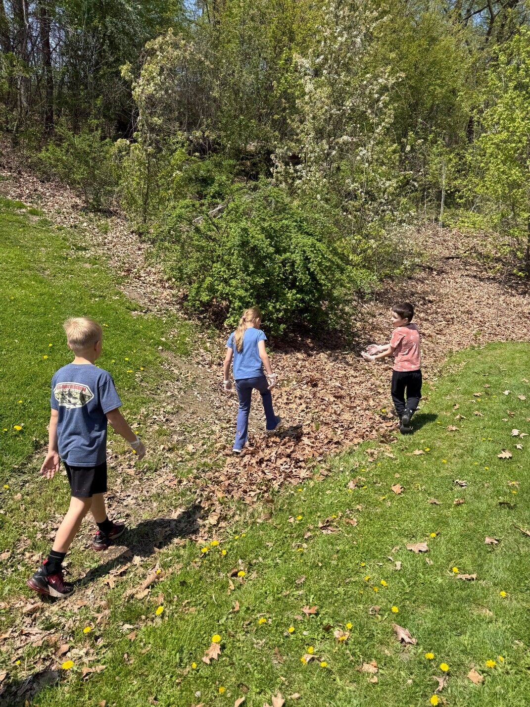 Three children walk through a grassy area with scattered leaves and yellow dandelions.