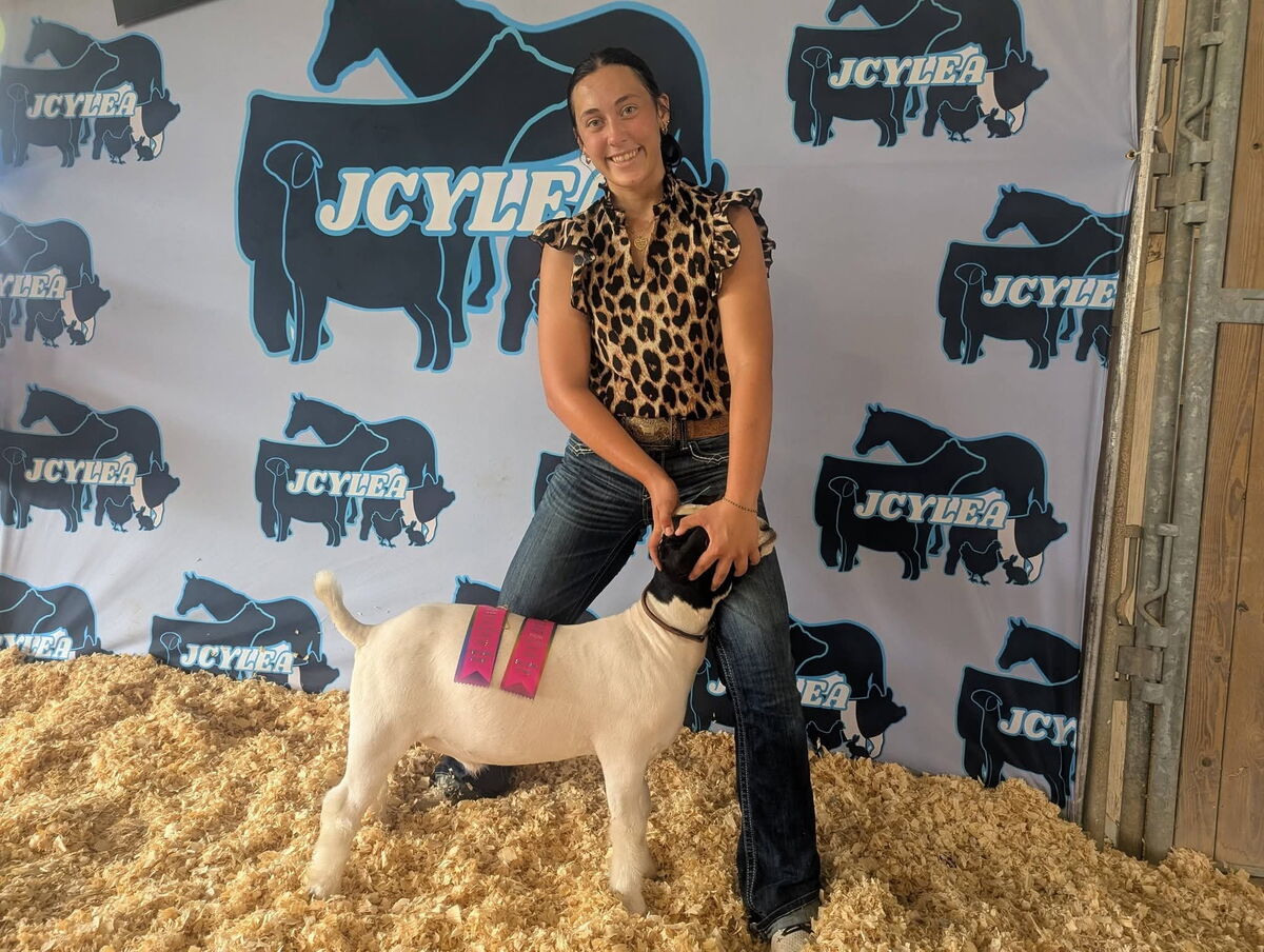Mackenzie Sapp: Top 3 in Georgia FFA Junior National Livestock Record Book