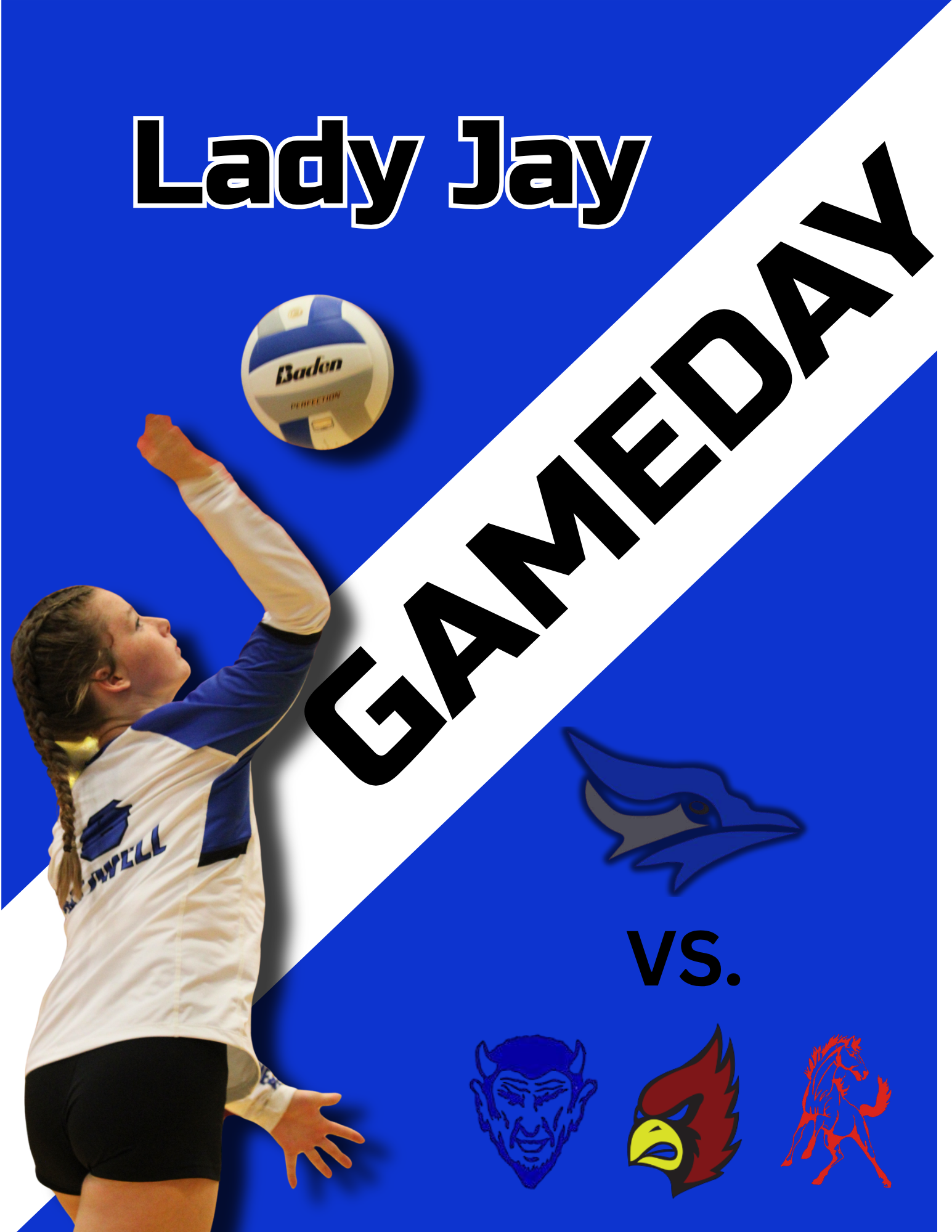 Lady Jay Game Day @ South Haven