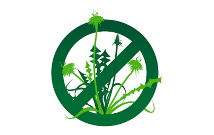 Pesticide Application