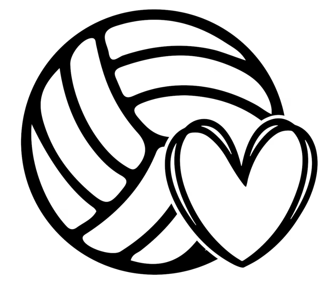 Volleyball Ball Game 🏐 