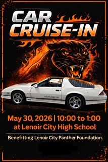 Panther Foundation Car Cruise-In