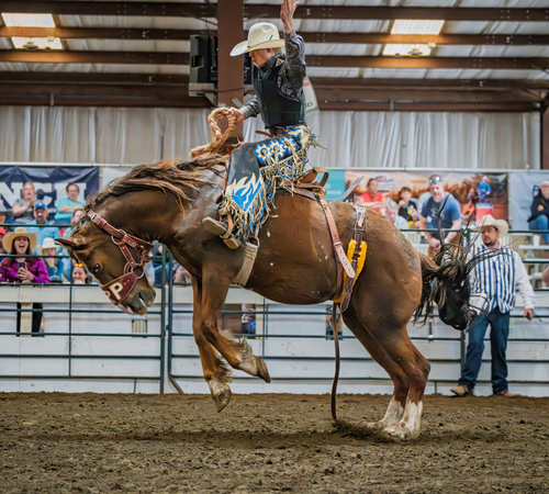 Student Achievement: Isaac Puglia Named NYS Rodeo Champion