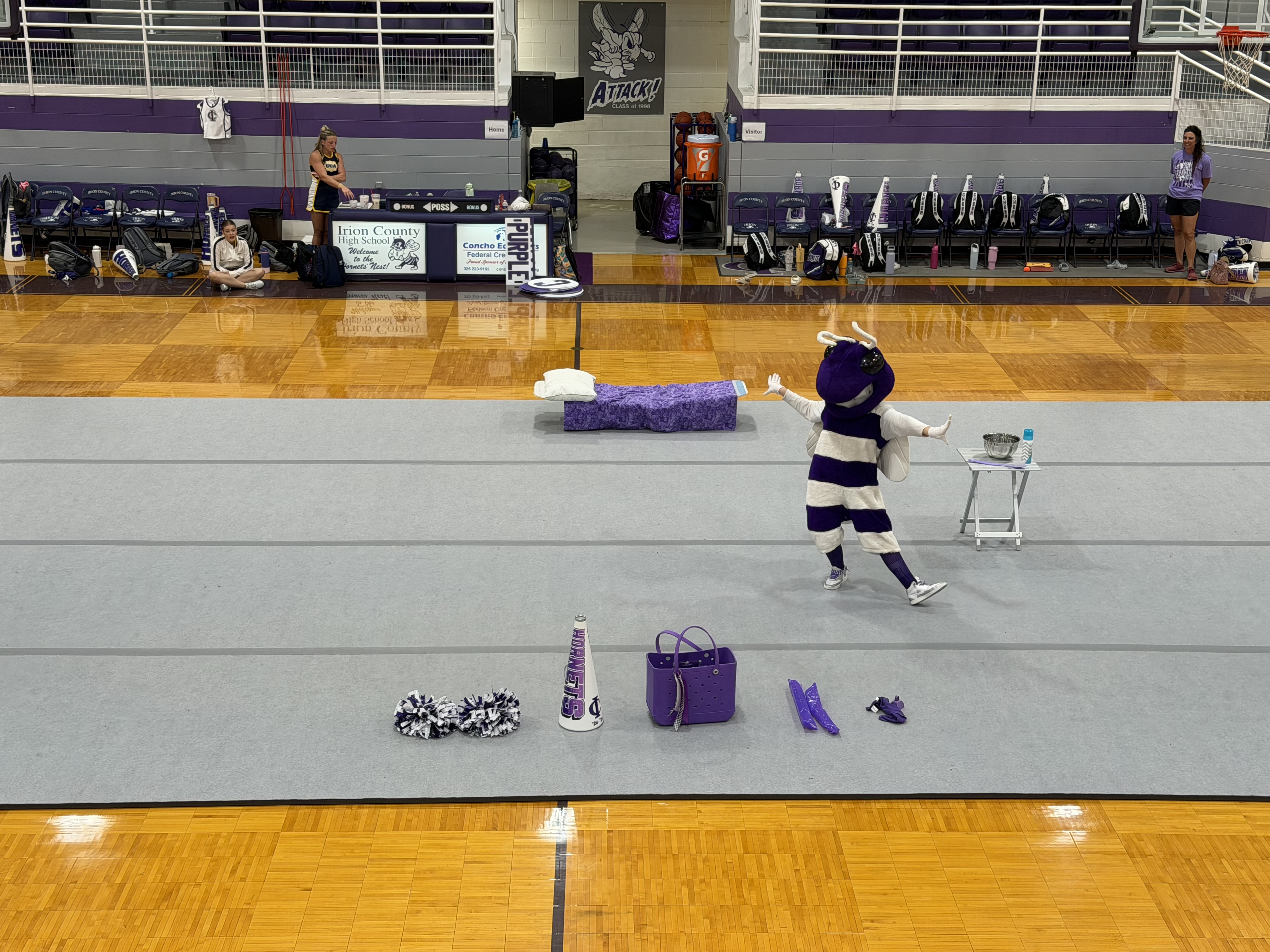 A mascot in a purple and white striped bee costume stands on a grey mat in a gymnasium.
