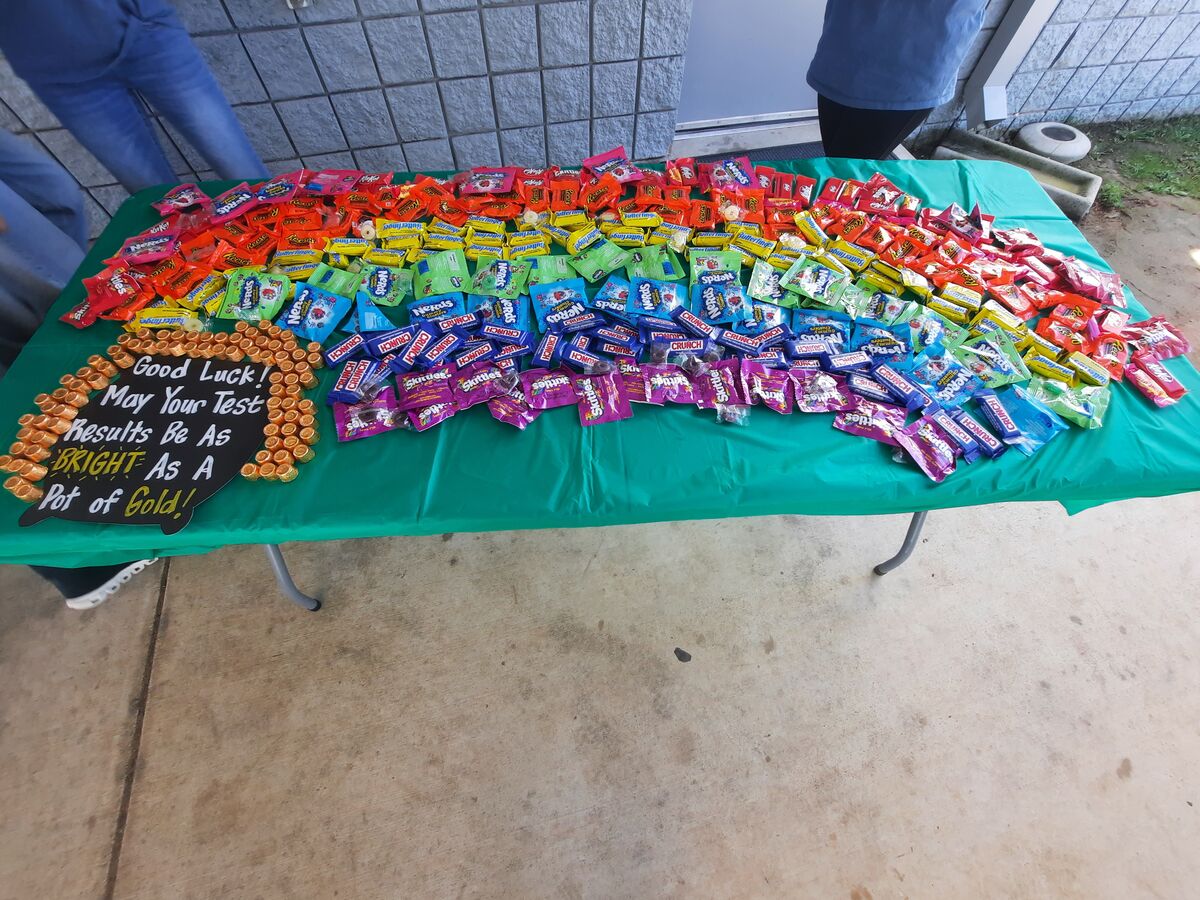 A table covered with a green cloth displays a large assortment of colorful candy bars arranged in a rainbow pattern.