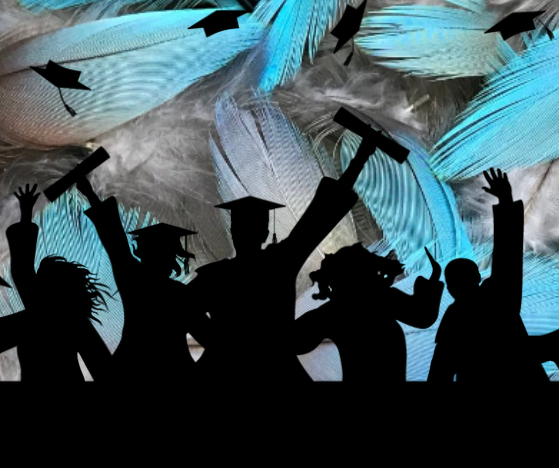 Silhouettes of graduates in caps and gowns celebrating with diplomas against a backdrop of blue and white feathers.