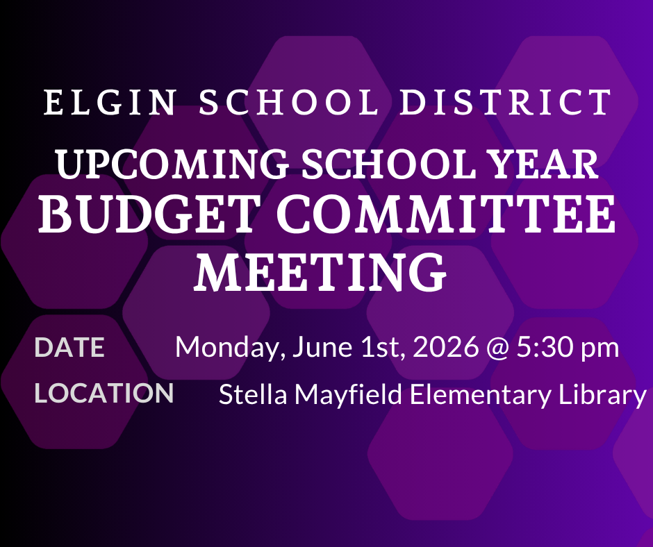 Elgin School District Budget Committee Meeting