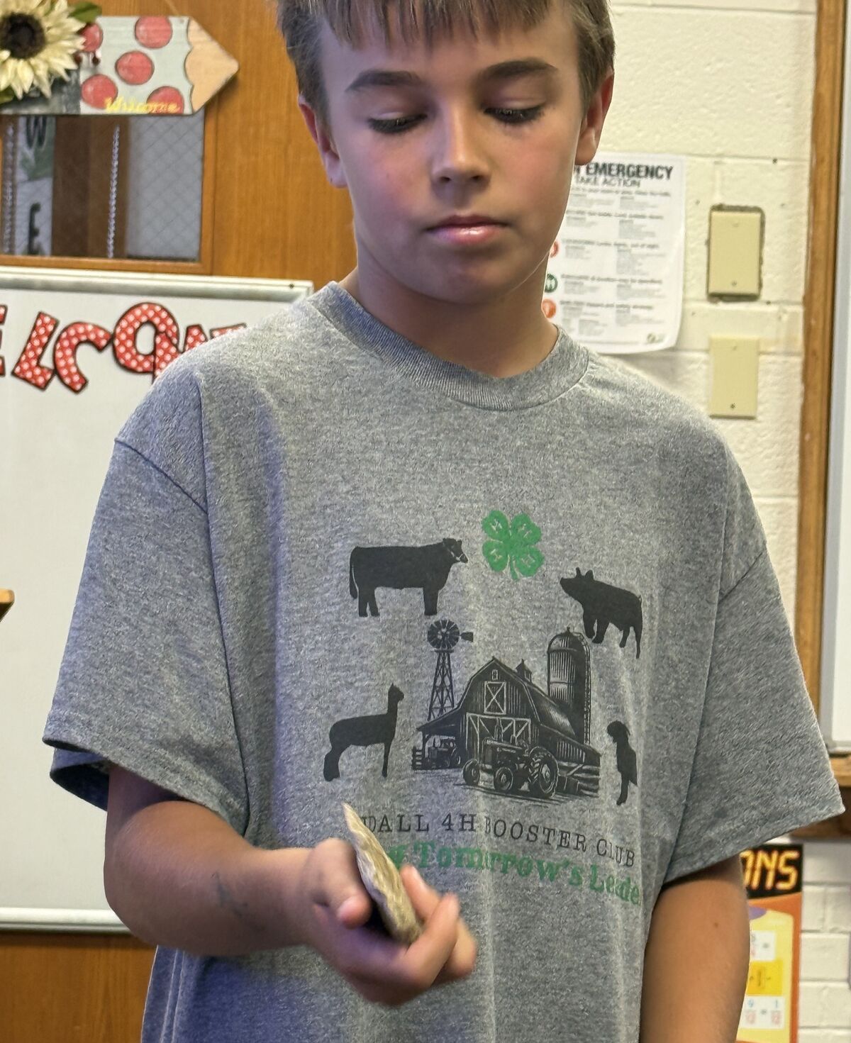 A young person wearing a gray 4-H t-shirt featuring farm animals and a green clover holds an object in a classroom.