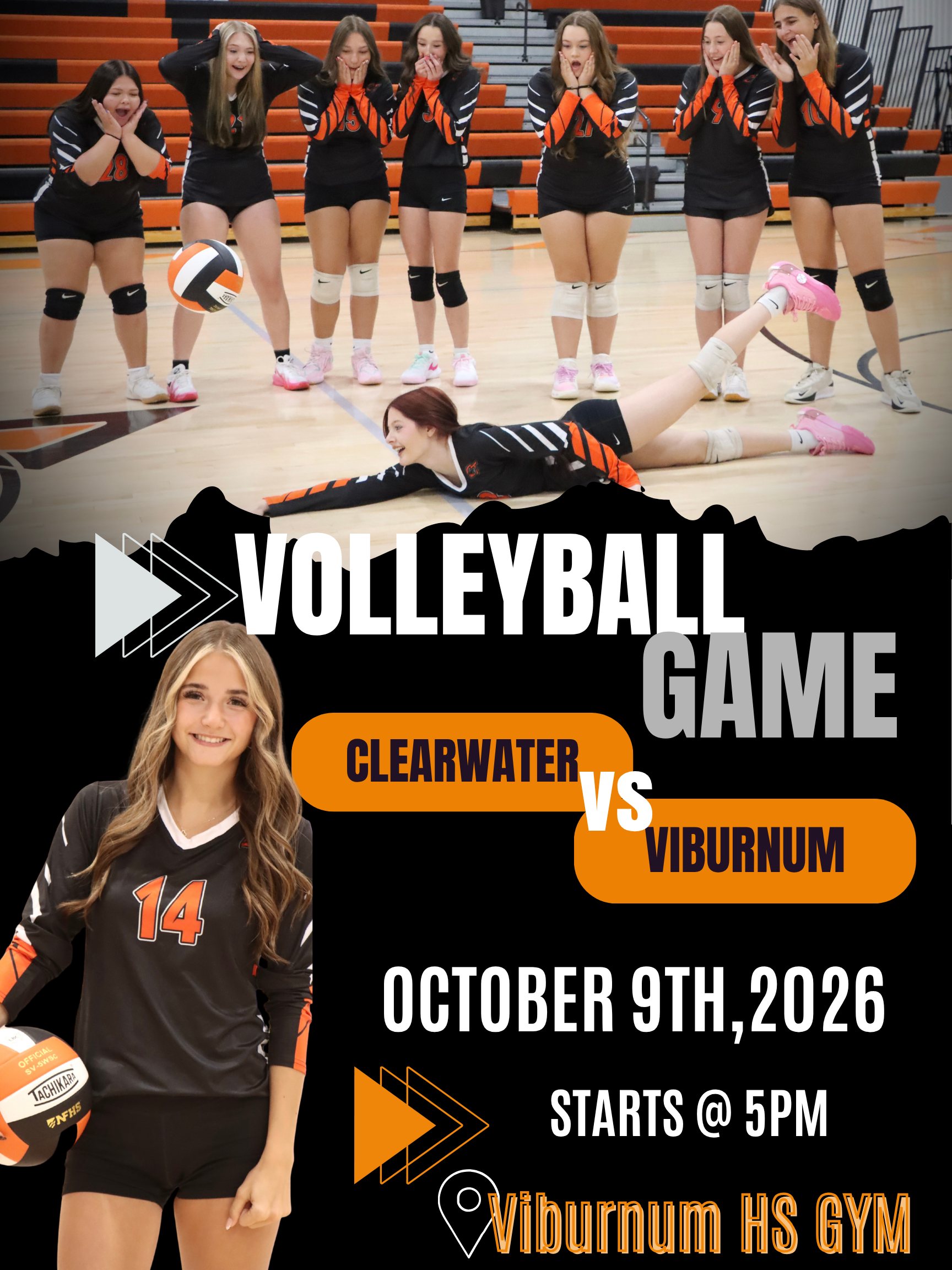 Volleyball Game @ Viburnum-10/9