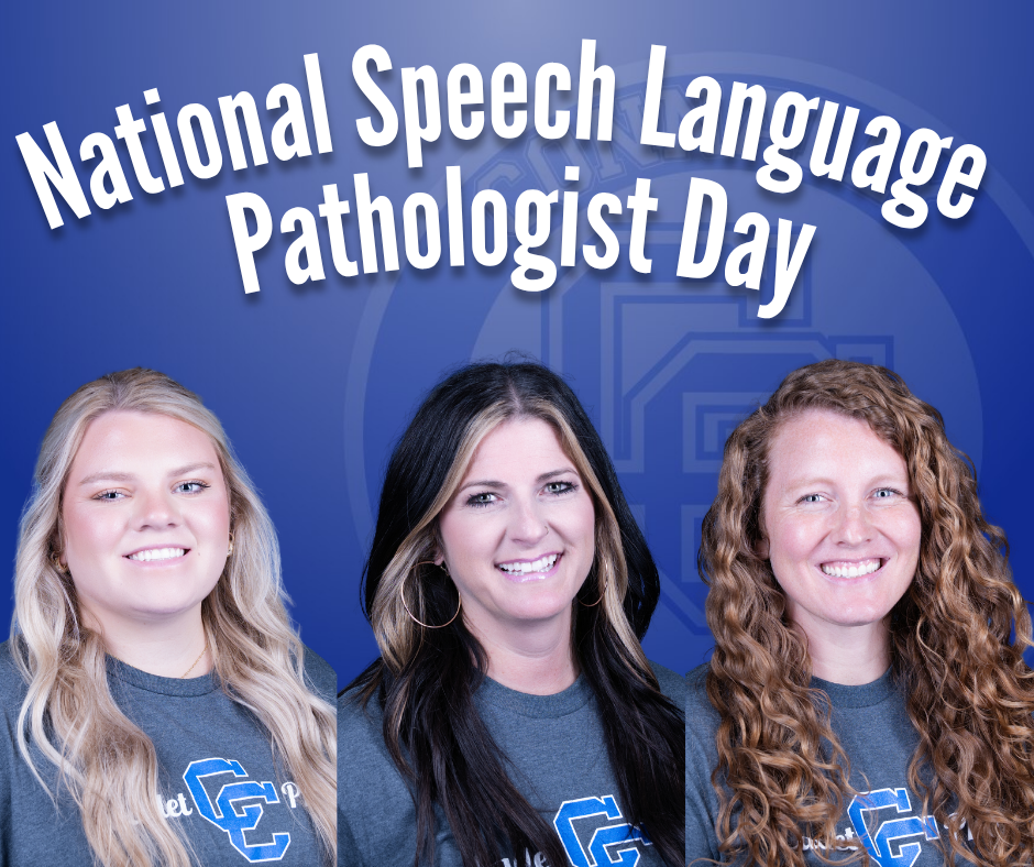 National Speech-Language Pathologist Day