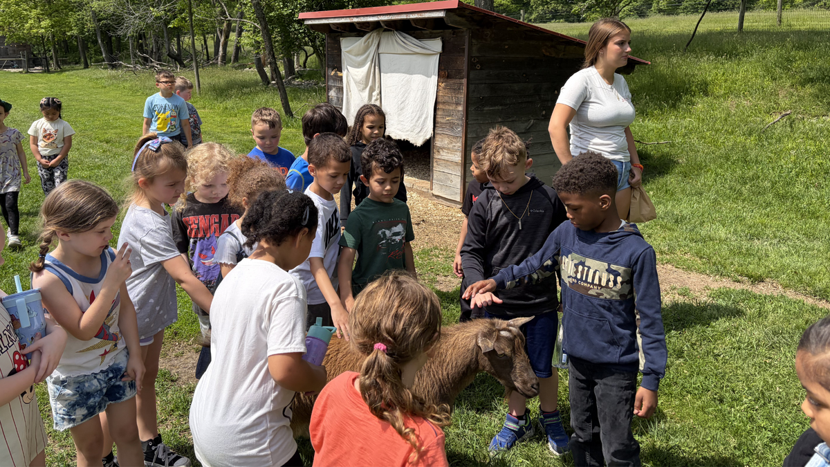 Van Rensselaer 1st Graders Enjoy Educational Field Trip to June Farms
