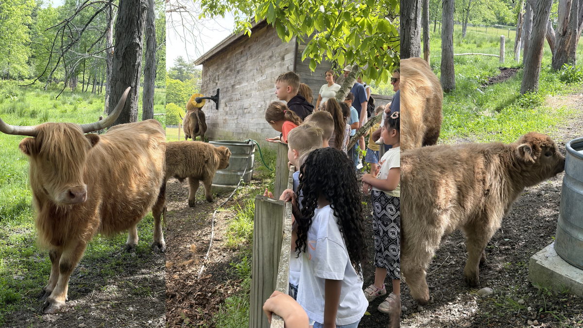 Van Rensselaer 1st Graders Enjoy Educational Field Trip to June Farms